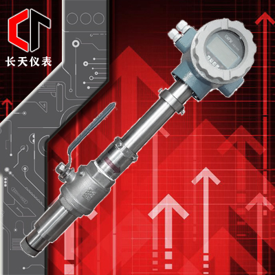 電磁流量計(jì)（插入式）