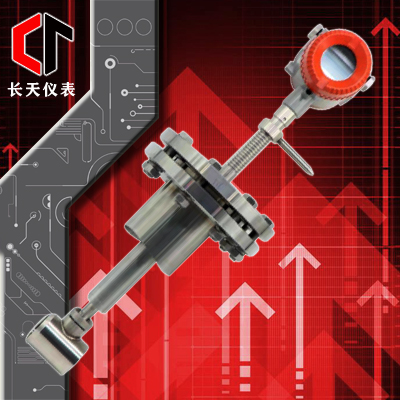 渦街流量計(jì)（插入式）